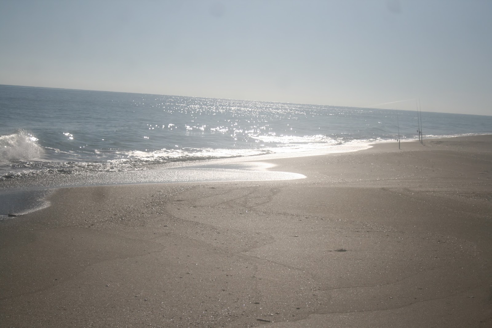 The Treasure Beaches Report Direct From Florida's Treasure Coast. 1/6