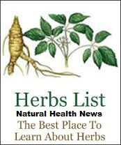 Growing-Herbs-For-Your-Health-And-Wellness