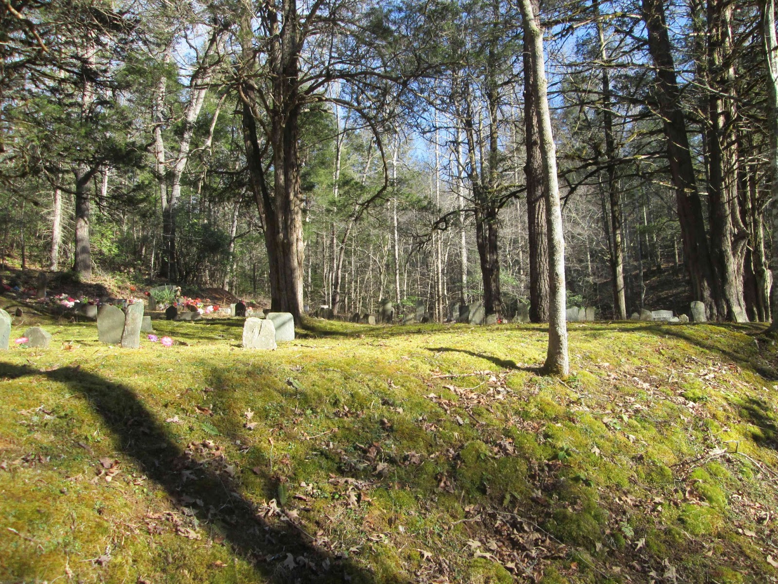 Smoky Mountain Cemetery Creeping Rector Cemetery