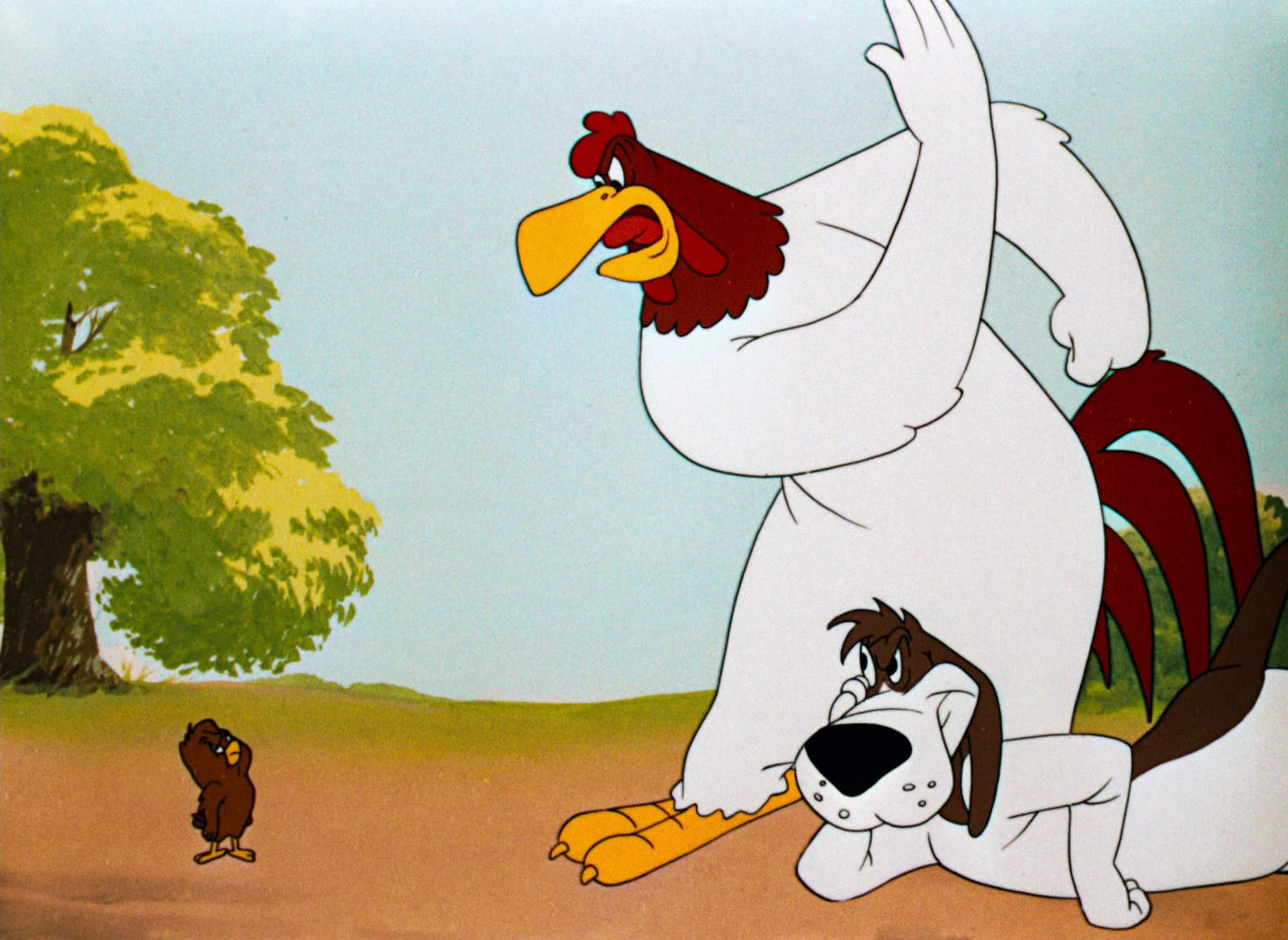 Looney Tunes Pictures: "The Foghorn Leghorn" .