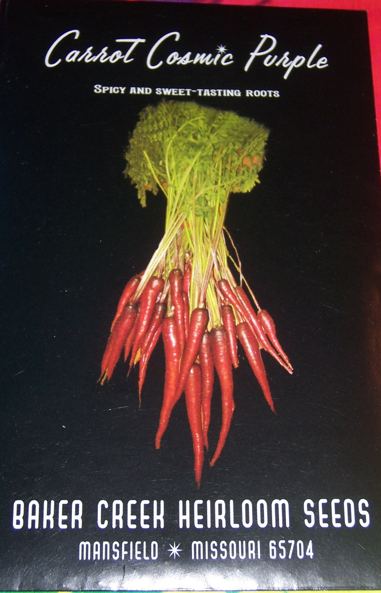 cosmic purple carrot