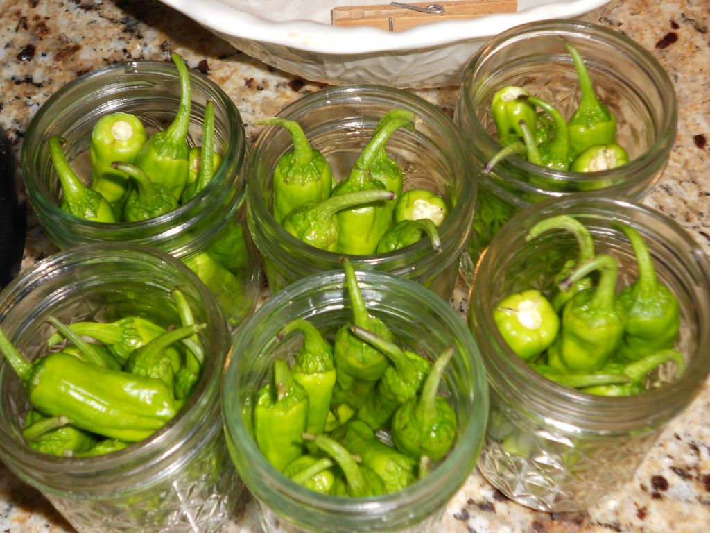 Easy Living the Hard Way Pepperocini Peppers