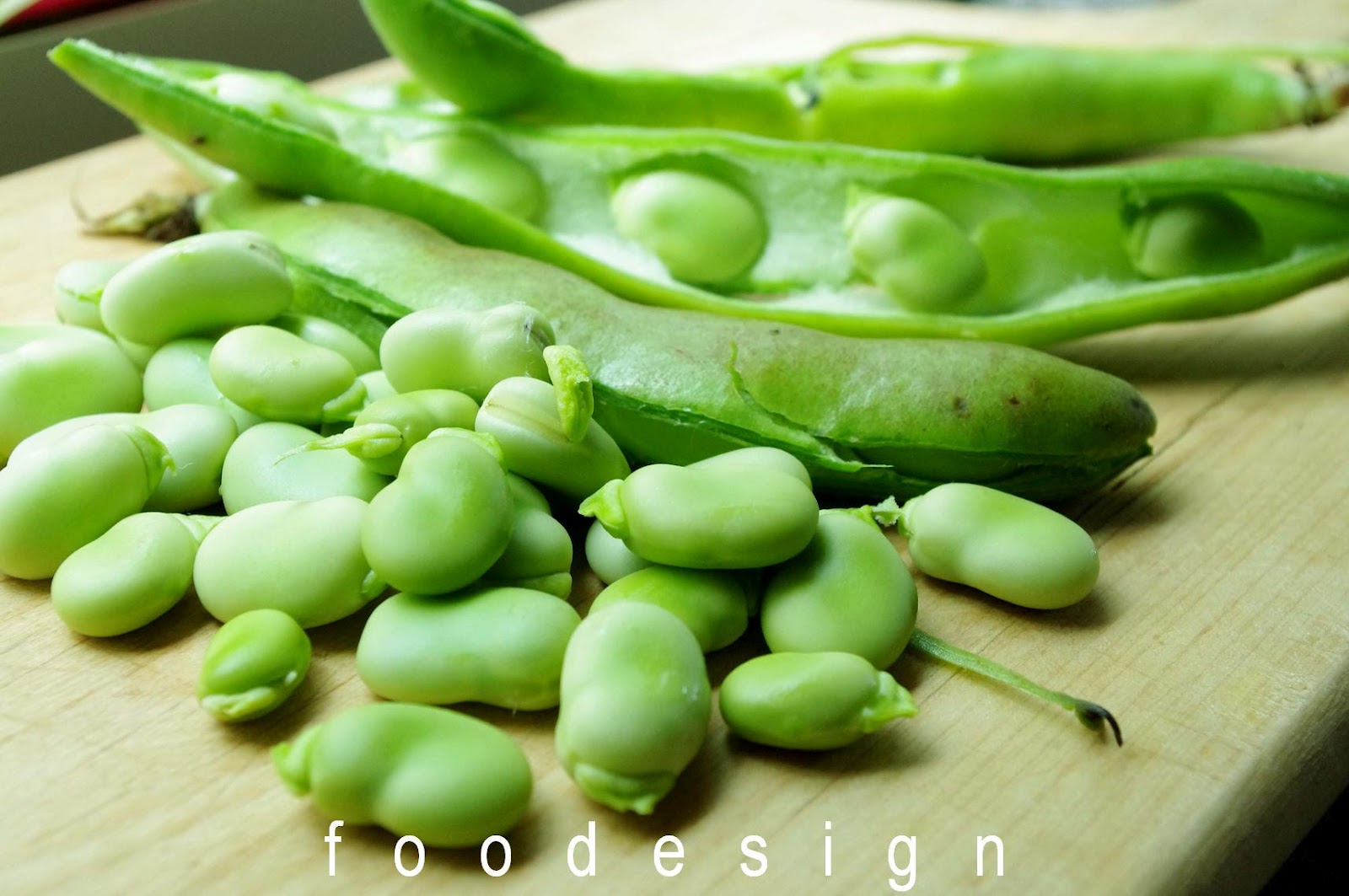 Fava — Rezepte Suchen