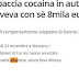 Cocaine and 8,000 euros cash in the car; Albanian arrested in Italy