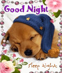 good night sweet dreams