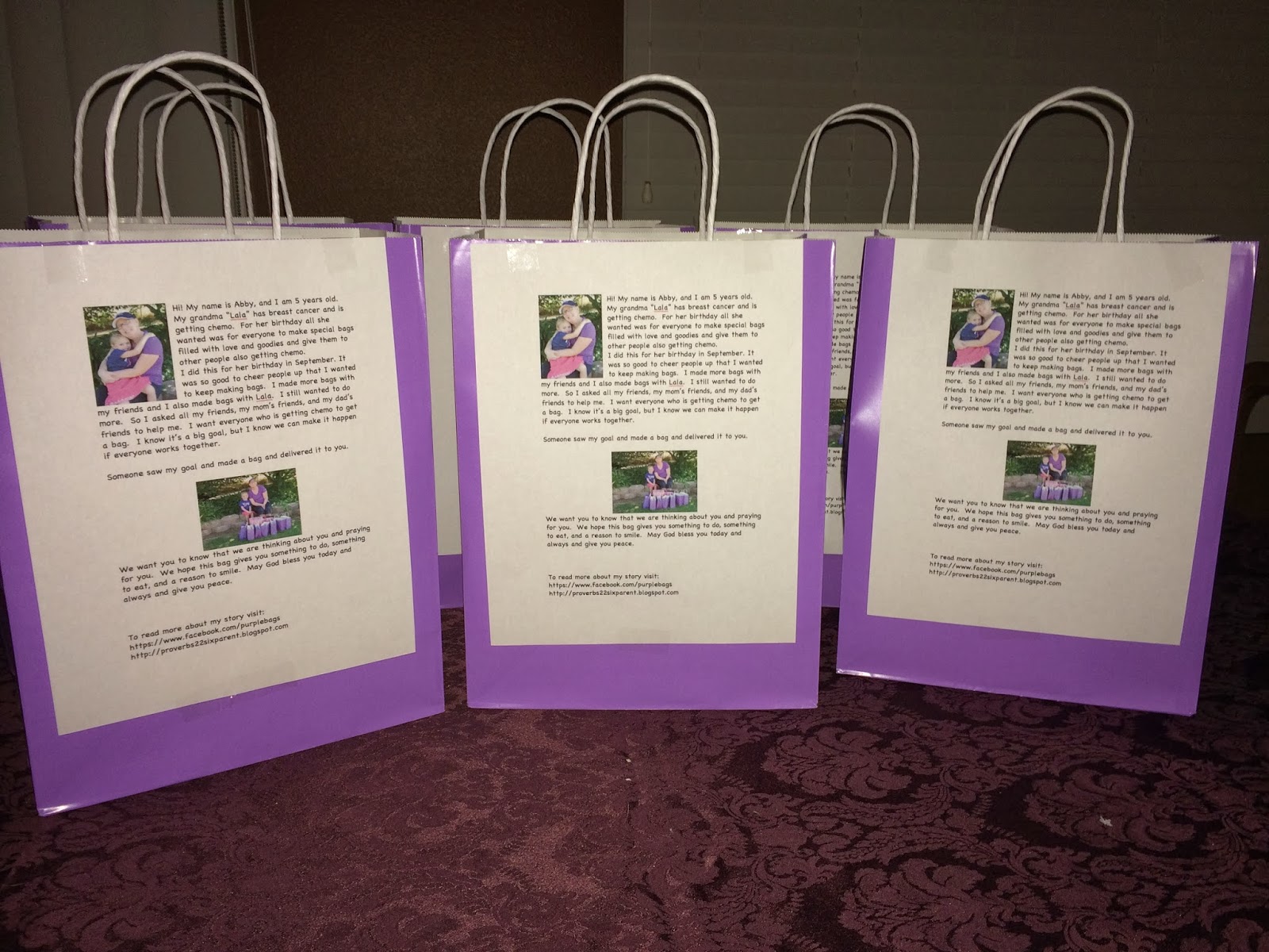 Abby's Purple Bag Project
