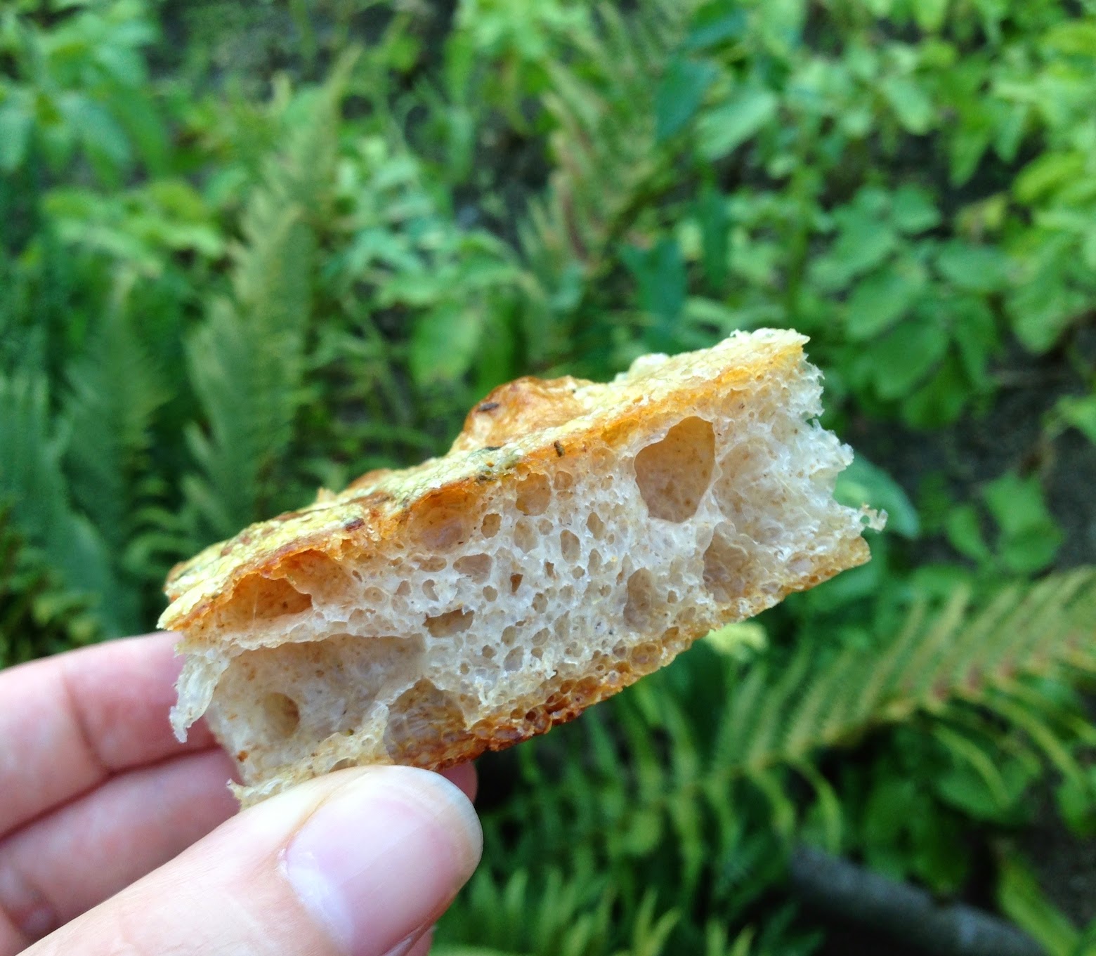 Cooketteria: Focaccia mit Kräutern und Käse (frei nach Ciril Hitz)