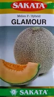 Melon Glamour murah, perawatan mudah, rasa manis, daging keras, kulit bernet, Glamour, Melon Glamour, Melon Orange, Melon Daging Merah, Sakata Seed, Benih, Bibit, Tanaman, Budidaya, Harga murah, Petani