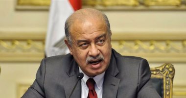تشكيل أمناء الهيئة القومية لسلامة الغذاء بمصر