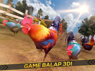 Game Balap Ayam Jago APK v1.6.0 Mod Update Versi Terbaru