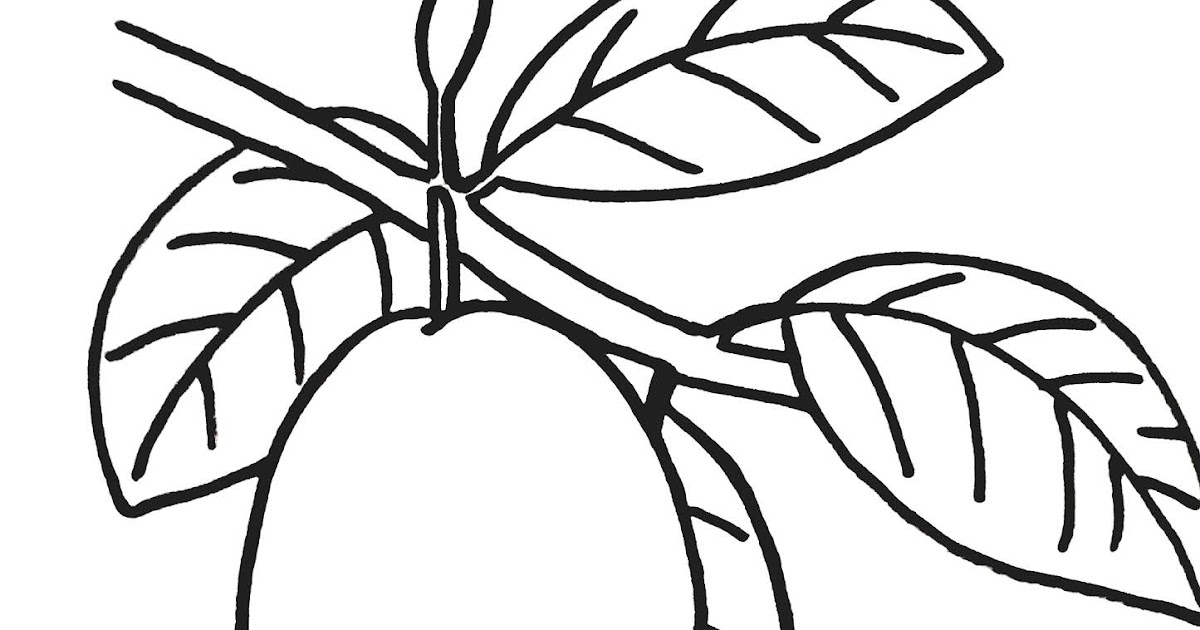 lembar gambar mewarnai buah jambu