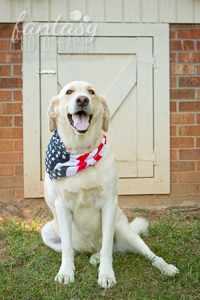 pet family photography in winston salem nc | triad family pet photographers pet family photography in winston salem nc | triad family pet photographers