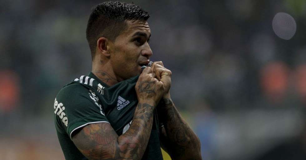 dudu palmeiras