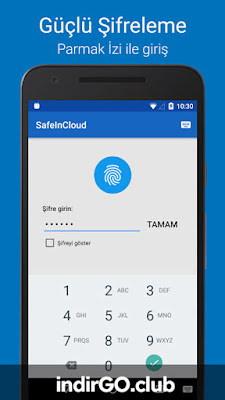 SafeInCloud Pro APK SafeInCloud Pro APK