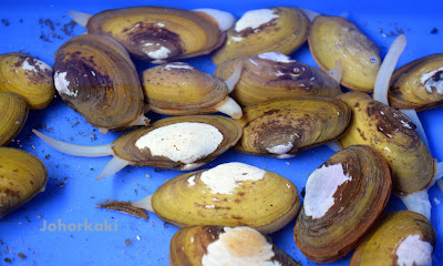 Todak Seafood Restaurant in Johor Bahru Todak-Seafood-Restaurant-Johor-Bahru