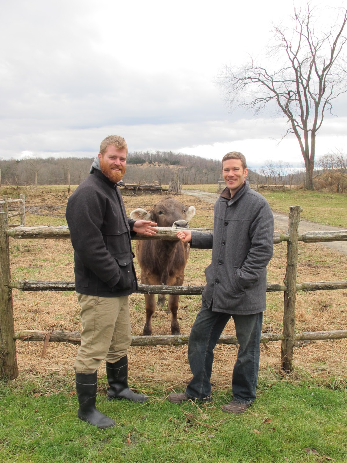 Culinary Types Tasting the Heart, Soul and Soil of Hudson Valley Cheese