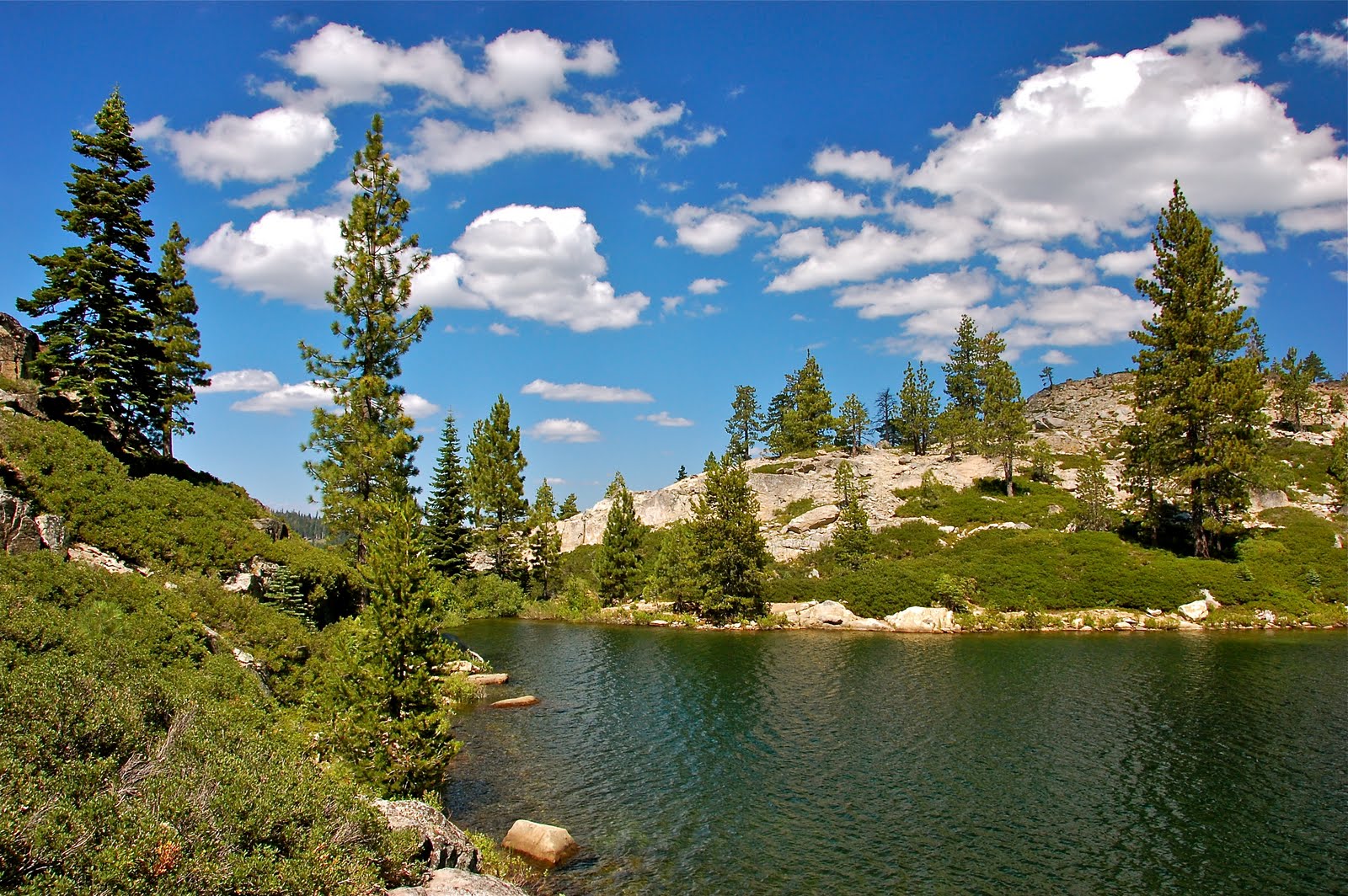 Travels with L (and sometimes Z & F) Bucks Lake, CA