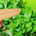 Low Magnesium Plays a Role in Insulin Resistance & Diabetes