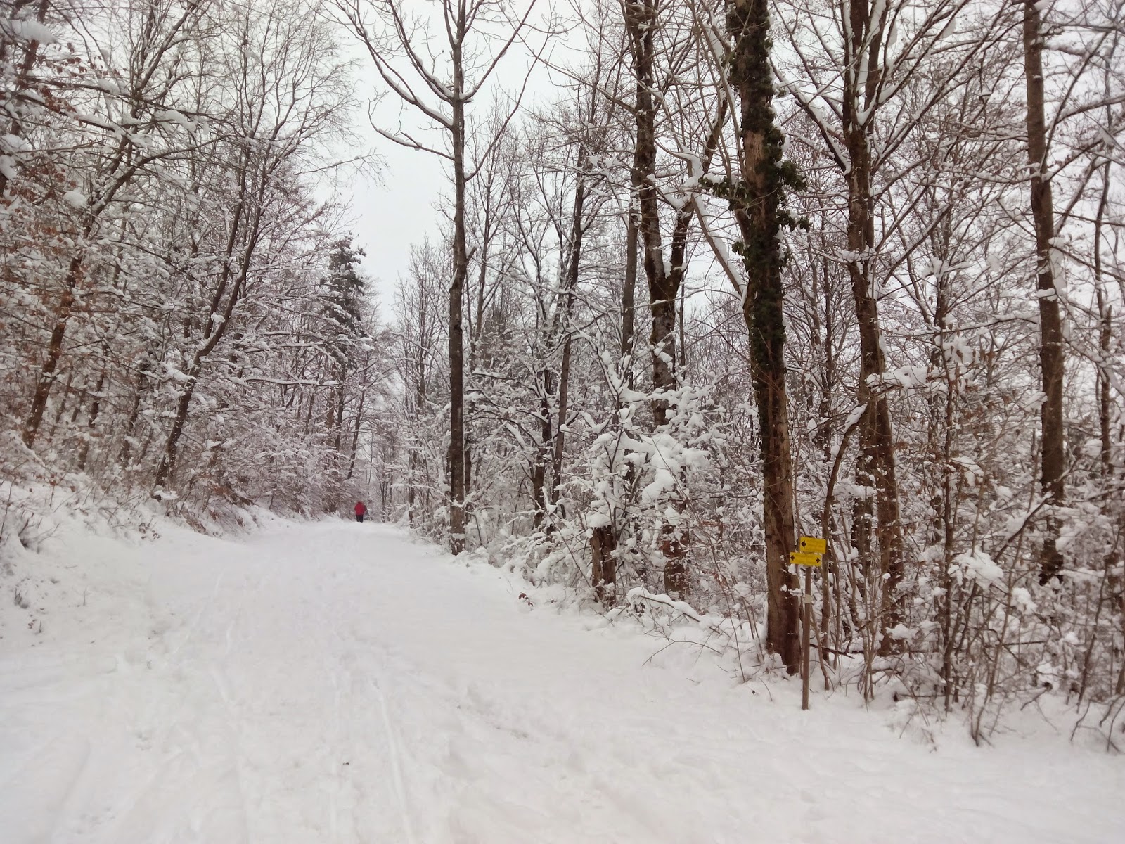 schnee im bergen schnee im bergen