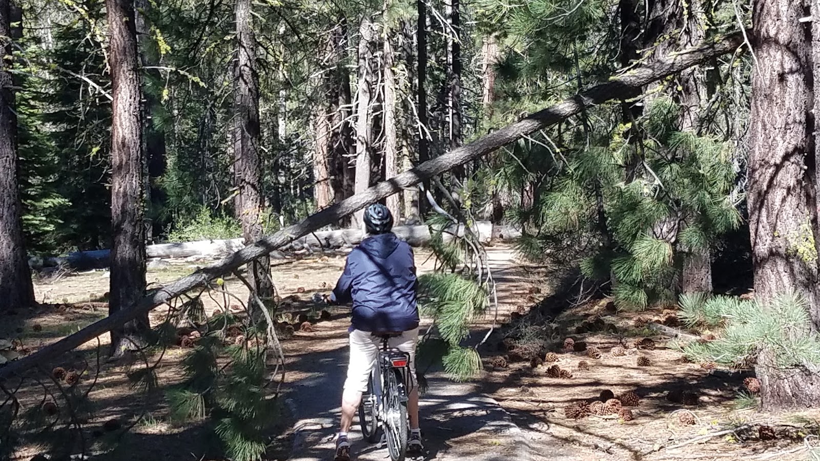 Rolling Along Country Roads Lower Truckee, Donner Pass, Spanish Creek