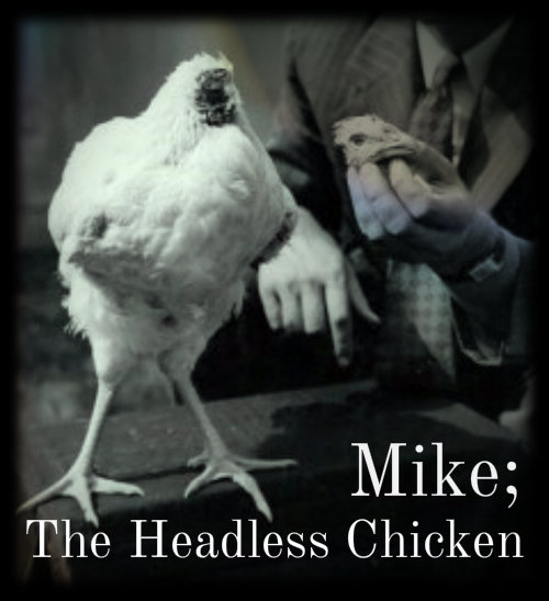 Click here for more about Mike