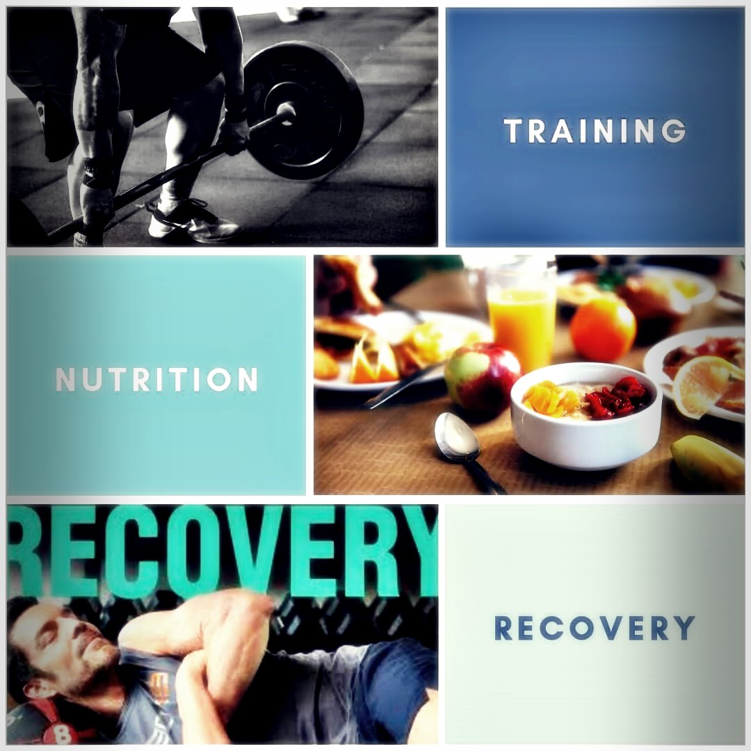 SwoleLife-92305256129