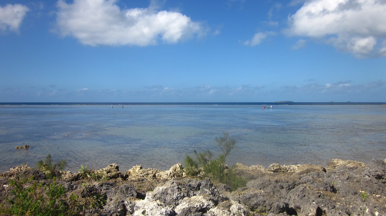 Tidbits from Tonga