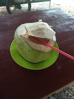 Kelapa Hijau Kelapa Hijau