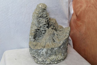 Tính chất hóa học của Nhôm Al - Tác động sức khỏe của nhôm - Tác động môi trường của nhôm