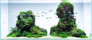 200 Referensi Desain Dan Model Aquascape Berdasarkan Tema https://www.faktapopuler.com/2018/12/200-referensi-desain-dan-model.html