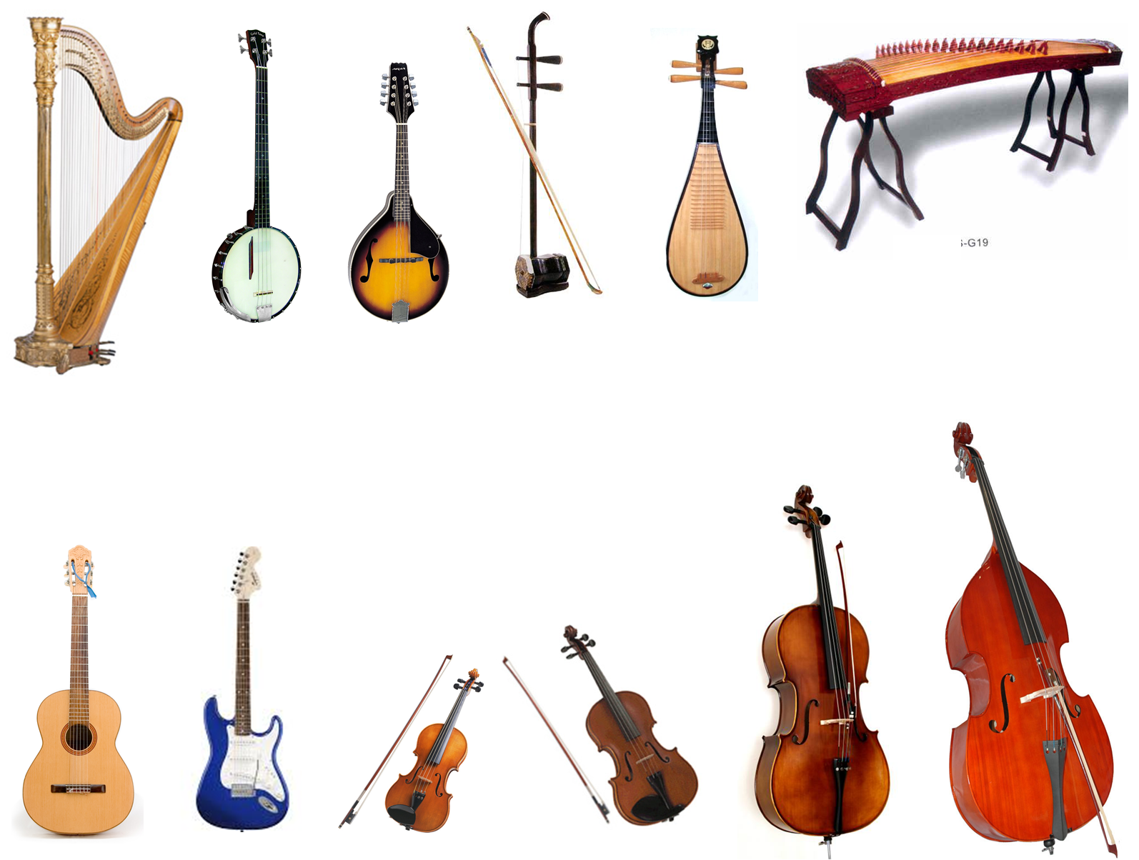 types of stringed instruments in an orchestra