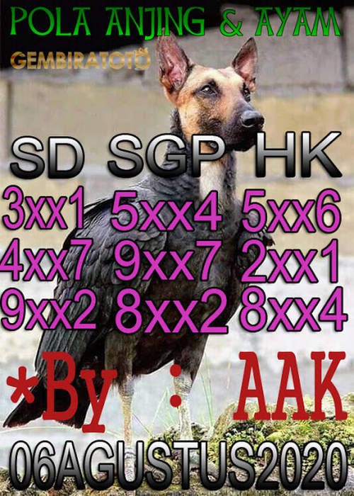 SYAIR HK ASIKTOTO