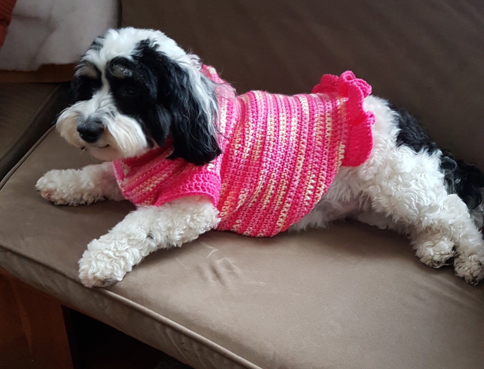 Girliegirlie Dog Sweater & Rough and Ready Dog sweater