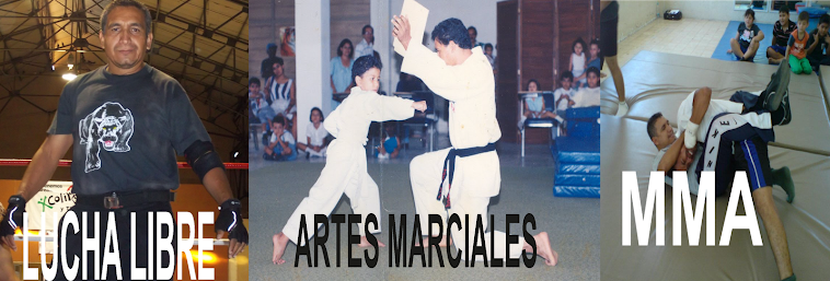 Lucha libre de karate