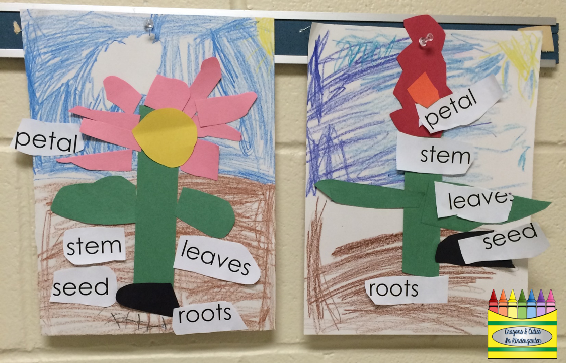 Crayons & Cuties In Kindergarten: Tips To A Kindergarten Teacher From A ...
