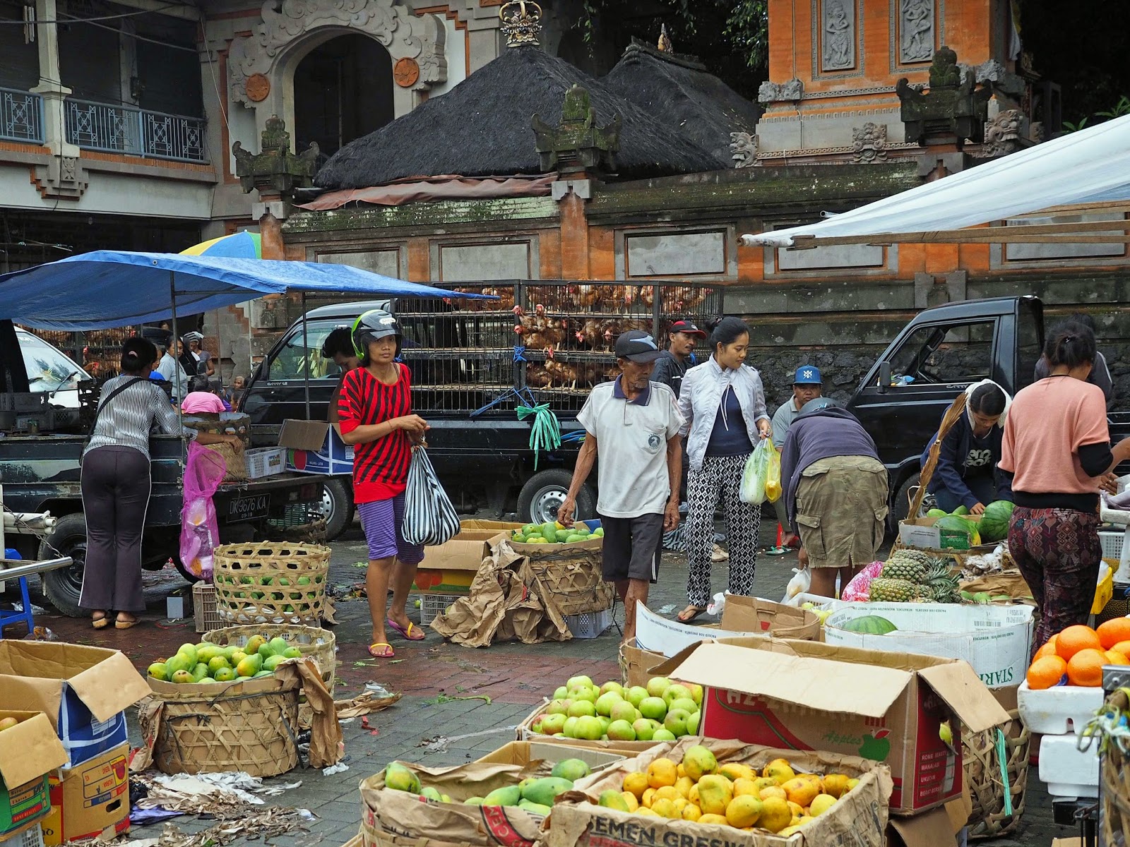 bali tourism market