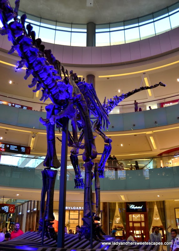 Discover the Dinosaur at The Dubai Mall Lady & her Sweet Escapes
