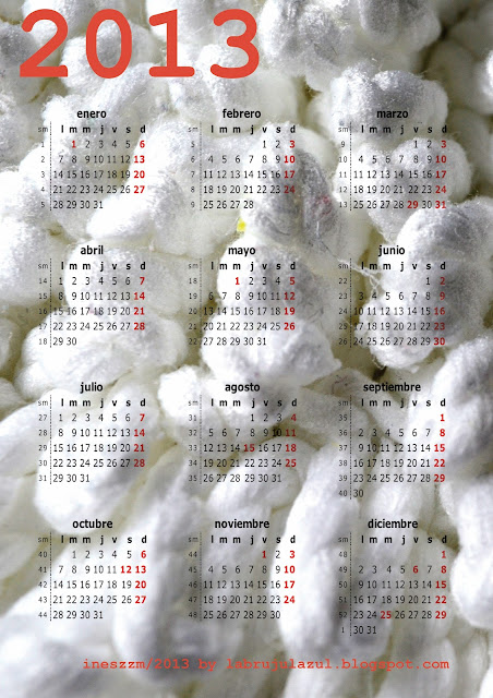 Calendario 2013  (5 de 9)  Fotografía: "Mopa de algodón" de Inés Martínez  para https://labrujulazulfoto.blogspot.com
