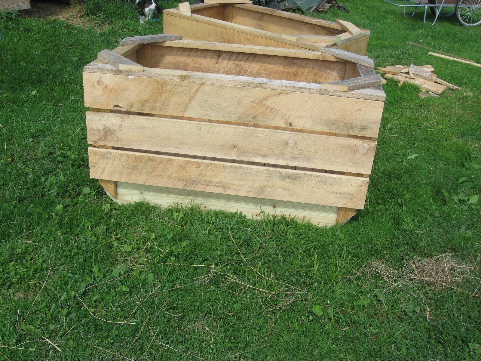 The Dancing Donkey Slow Feeders Perfected