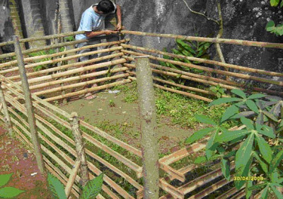 Cara Teknis Membuat Kolam  Terpal  Dari bambu