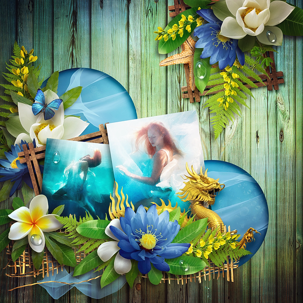 user posted image