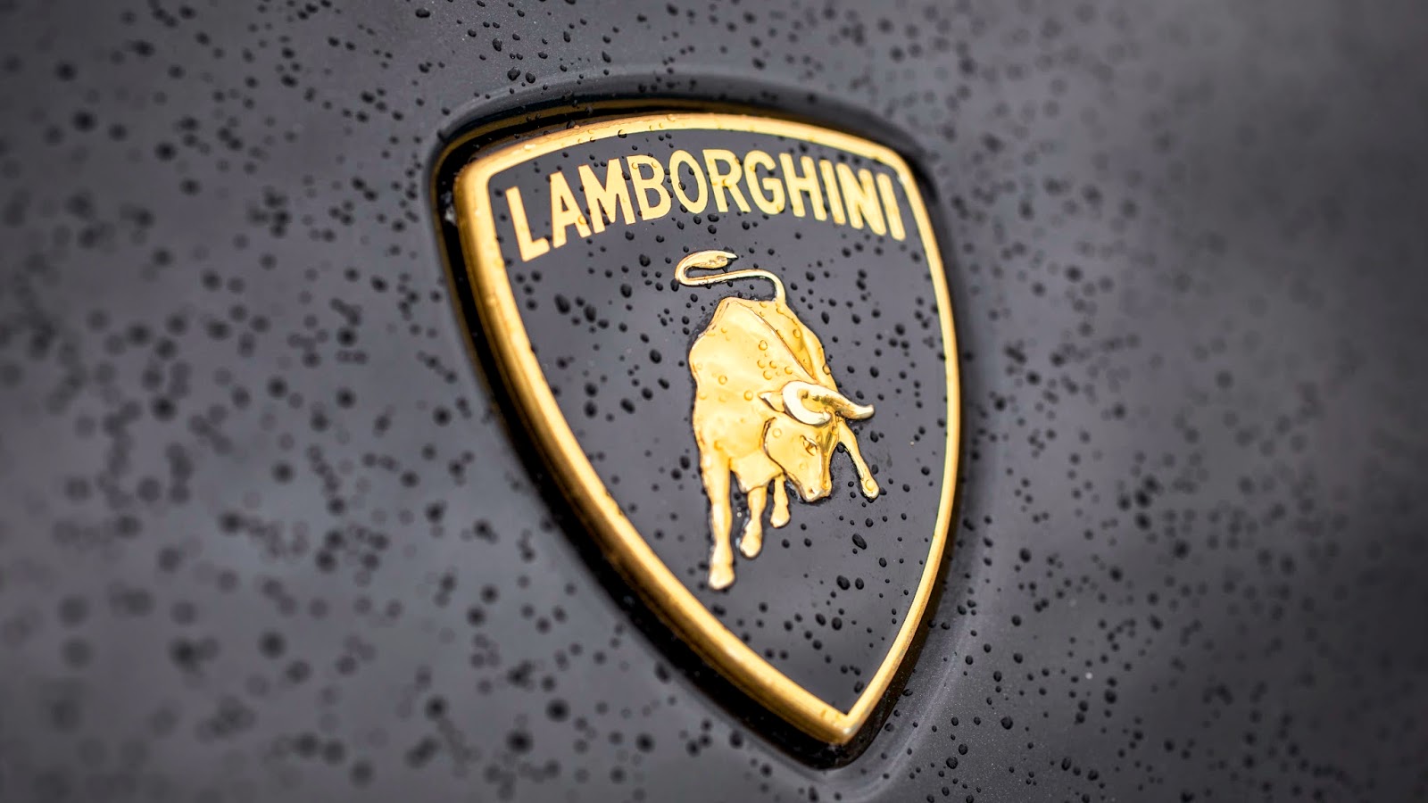 Lamborghini logo ultra hd wallpapers