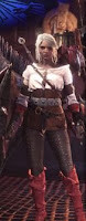 Ciri Armor, MH World, Witcher Crossover 