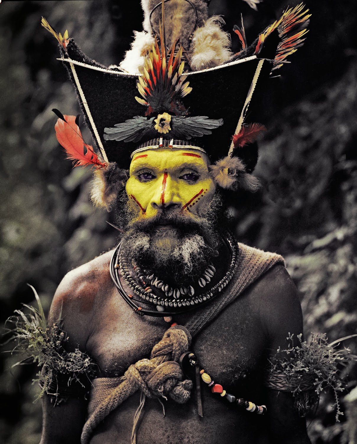 PNG-7.jpg