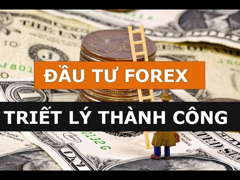 Chơi forex