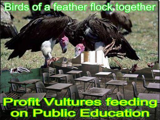 Image result for big education ape birds of a feather