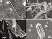 http://sciencythoughts.blogspot.co.uk/2015/02/the-dangers-of-naturally-occurring.html