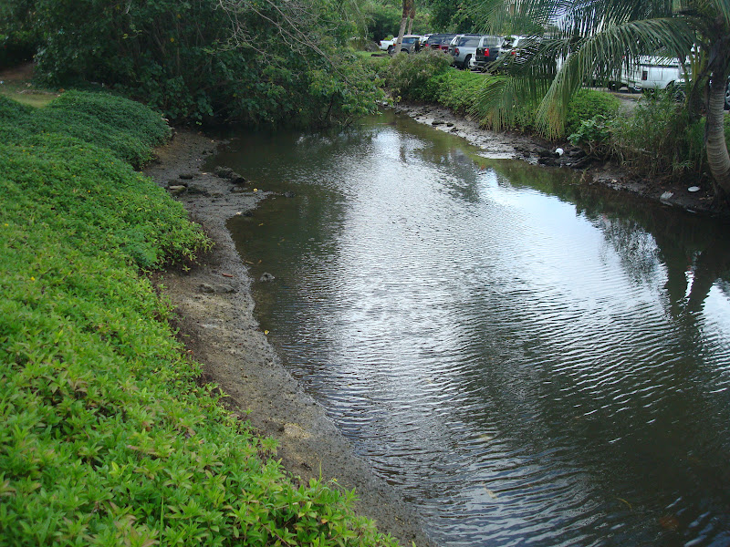 Paleric CHAMORRO TONGUE TWISTER DRY SEASON