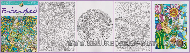 kleurboek entangled kleurboek entangled
