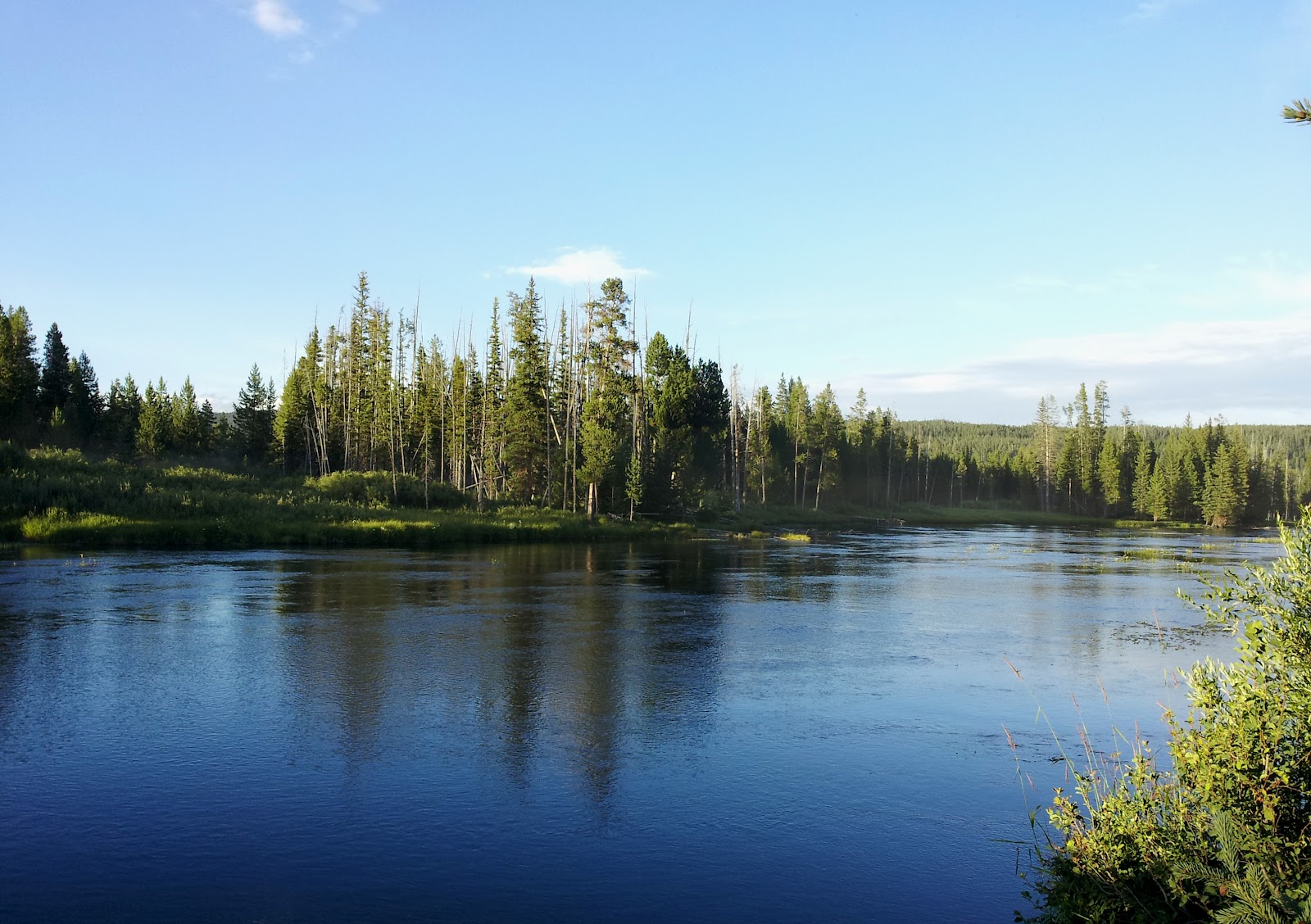 Cotton Way: Summer Sewing